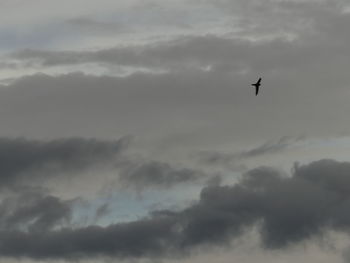 Low angle view of silhouette bird flying against sky