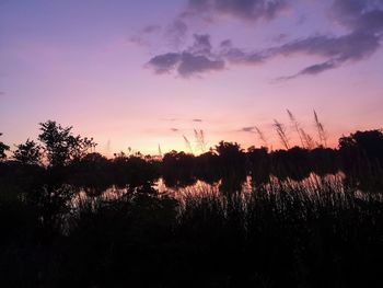 Scenic view of silhouette trees against sky during sunset