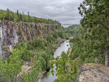 Scenic view of river amidst trees against sky