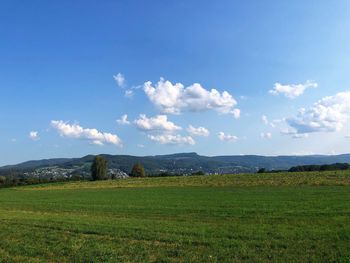 Scenic view of field against sky