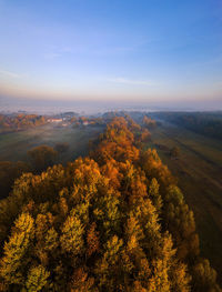 High angle view of trees on landscape against sky