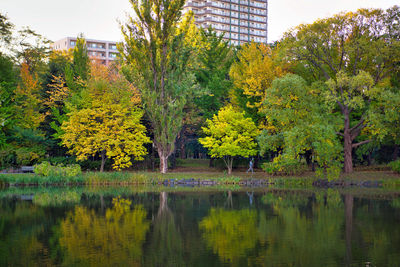 Scenic view of lake by trees during autumn