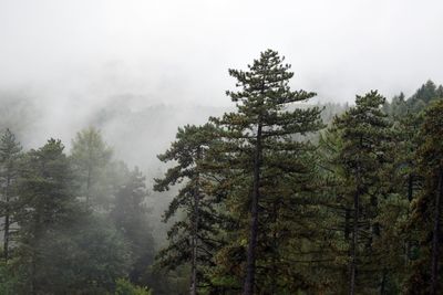 Scenery in transylvania, romania