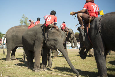 Rear view of men on elephants over field during competition