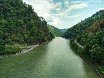 Scenic view of river amidst trees in forest against sky