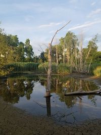 Reflection of trees in lake against sky