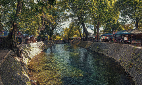 Scenic view of trees