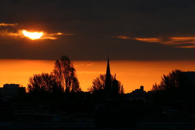 Silhouette of trees at sunset