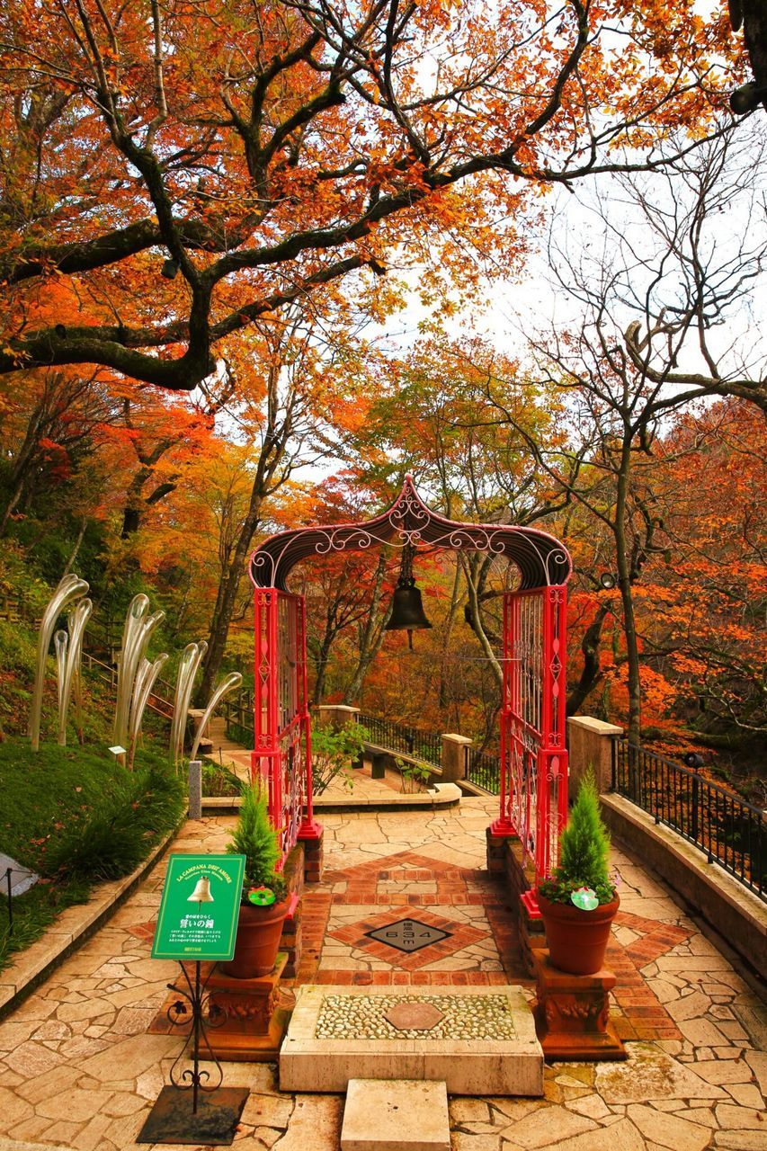 tree, autumn, change, branch, park - man made space, orange color, growth, yellow, built structure, season, nature, day, outdoors, building exterior, tree trunk, architecture, footpath, city, bench, park