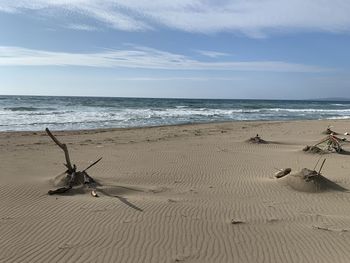 Driftwood on beach against sky