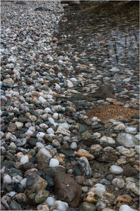 High angle view of stones on beach