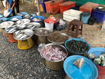 High angle view of various fish displayed for sale at market stall