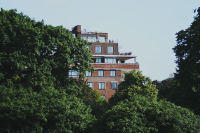 Low angle view of trees