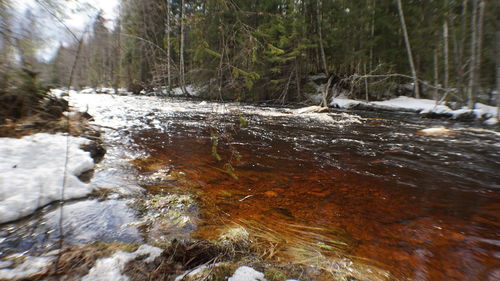 River flowing in forest during winter