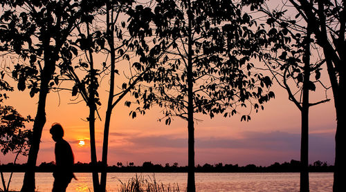 Silhouette person standing by tree against sky during sunset