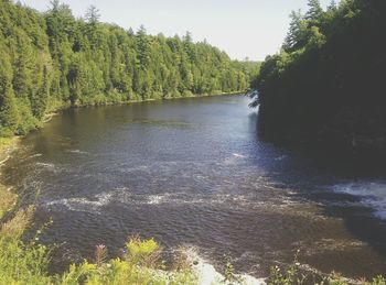 Scenic view of river with trees in background