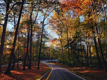 Road amidst trees during autumn