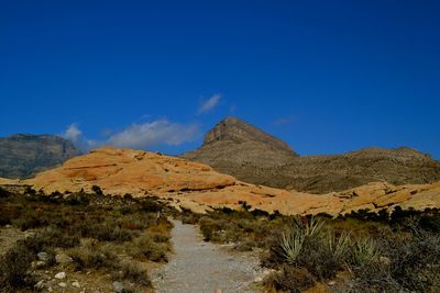 Scenic view of landscape against blue sky