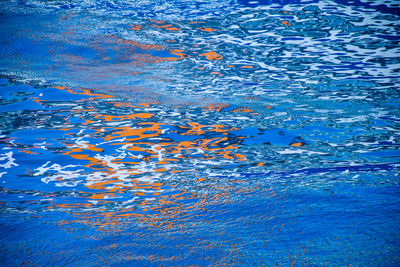 Full frame shot of multi colored swimming in water