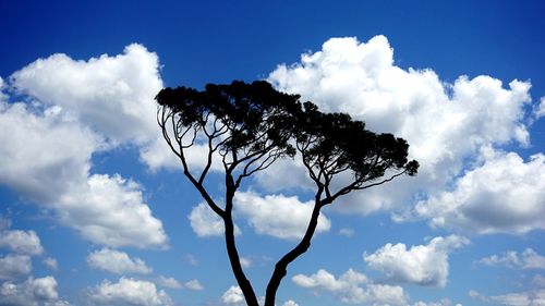 Low angle view of trees against cloudy sky