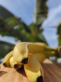 Close-up of fruit on table