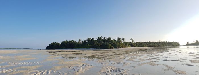 Scenic view of beach against clear sky