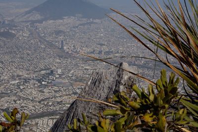 Close-up of cityscape