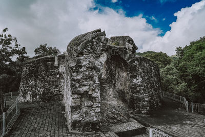 Plants growing on rock against sky