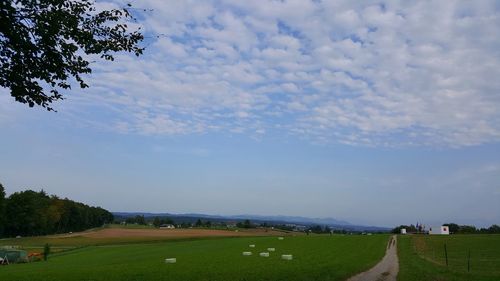 Scenic view of field against sky