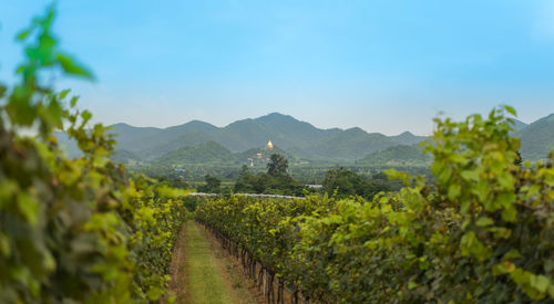 Scenic view of mountain range against sky