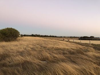 Scenic view of farm against sky