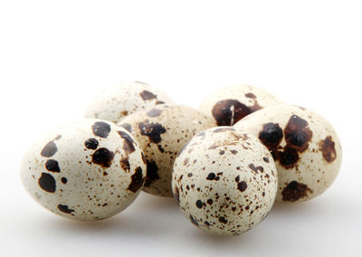 Close-up of easter eggs against white background