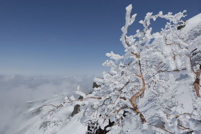 Close-up of snow covered landscape against sky