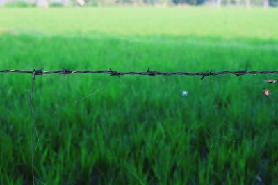 Barbed wire fence on field