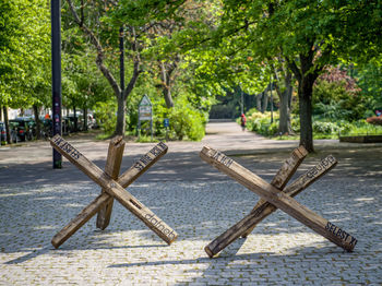 Footpath in park