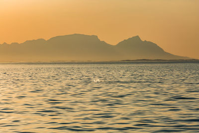 Scenic view of sea against clear sky during sunset