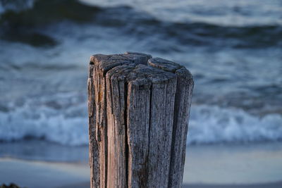 Close-up of wooden post on beach