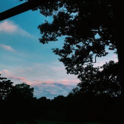 Low angle view of silhouette trees against sky