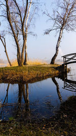 Reflection of tree in lake against sky