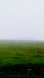 Scenic view of agricultural field against clear sky