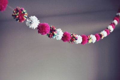 Low angle view of pink flowers