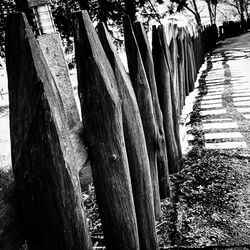 Footpath leading towards trees