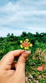 Close-up of hand holding flower