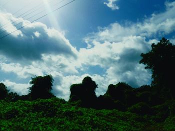 Low angle view of trees against sky