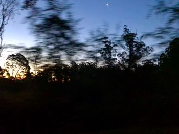 Silhouette trees in forest against sky at night