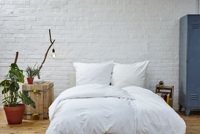 White potted plant on bed at home