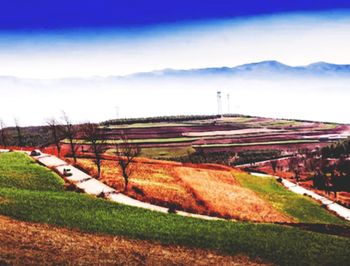 Scenic view of agricultural field against sky