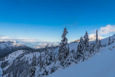 Scenic view of snowcapped mountains against blue sky