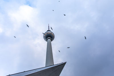 Seagulls fly around the television tower in berlin