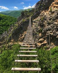 Low angle view of steps amidst plants against sky